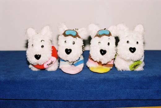Tagi 毛绒小狗挂饰 haha宠物小狗毛绒挂件包配饰游泳滑雪网球狗狗挂饰 商品图4
