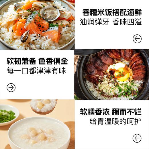 【严选】湖北潜江当季新米籼米虾稻油粘米  虾乡稻江汉大米虾稻油粘米5kg/袋（厂家直发） 商品图5