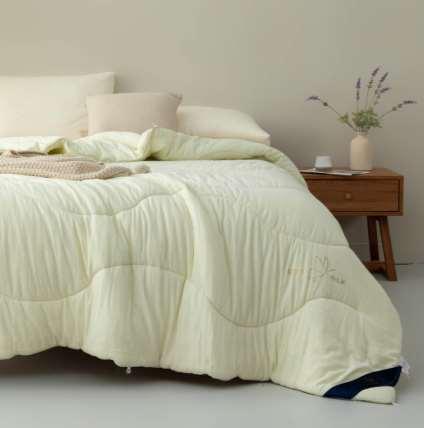 【远梦】蚕宝柔肤四季被 商品图2