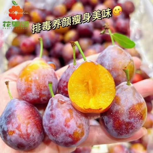 【精品好货】进口智利西梅 约250g-500g 商品图0