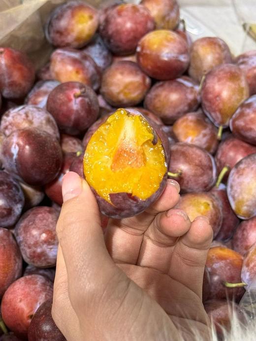 澳洲蝙蝠牌Sugar Plums西梅 商品图1