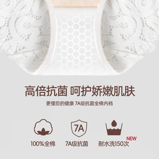 3条98元好奇蜜斯性感三角内裤女低腰蕾丝透气舒适纯棉7A抗菌裆夏-奥莎内裤 商品图2