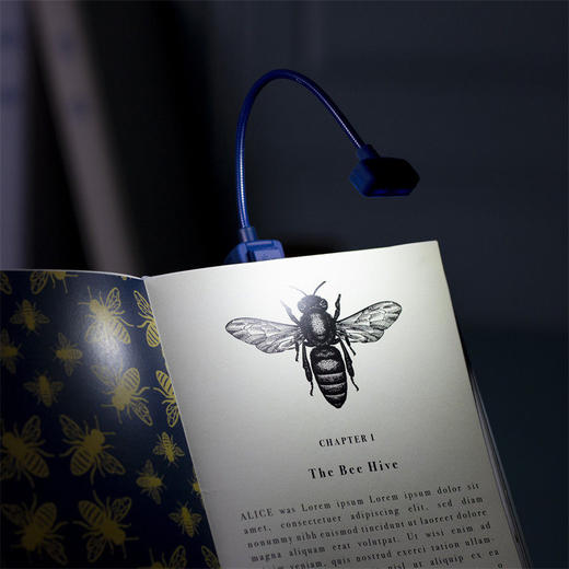 阿果拉-给爱书人的阅读灯 英国IF文创 便携带随身看书灯led 商品图1