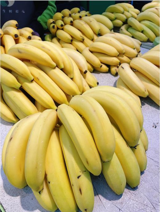 国产香蕉3斤 商品图1