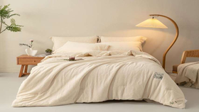 远梦生物绒能量芯四季被