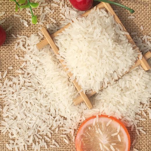 【严选】湖北潜江虾乡稻江汉大米 优质当季新米 虾稻小丝苗米5kg/袋（厂家直发） 商品图3