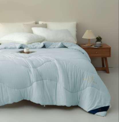 【远梦】蚕宝柔肤四季被 商品图1