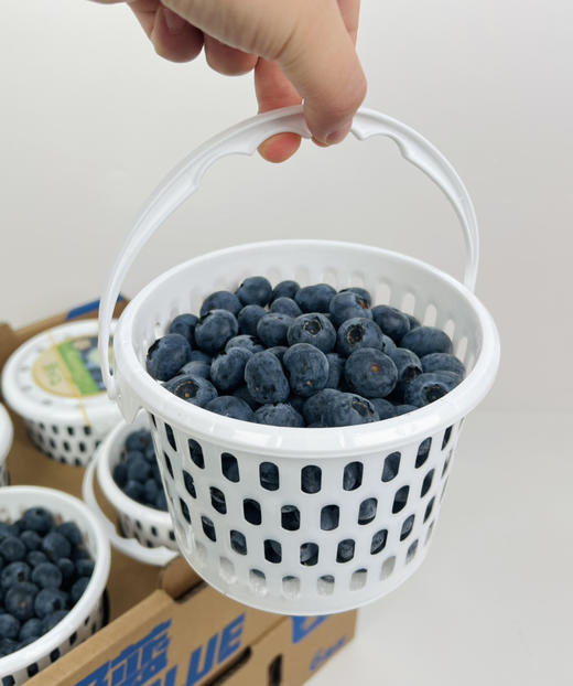 云南花香蓝莓脆爽纯甜，味浓郁 淡淡的花香 商品图7