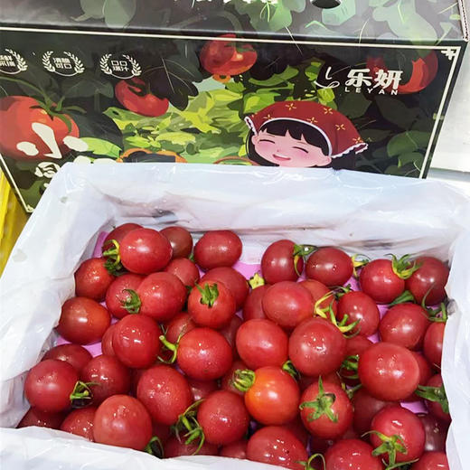 千禧圣女果（小礼盒）1.2kg/件 商品图0