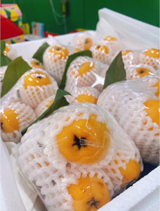 串枇杷一串 商品图2