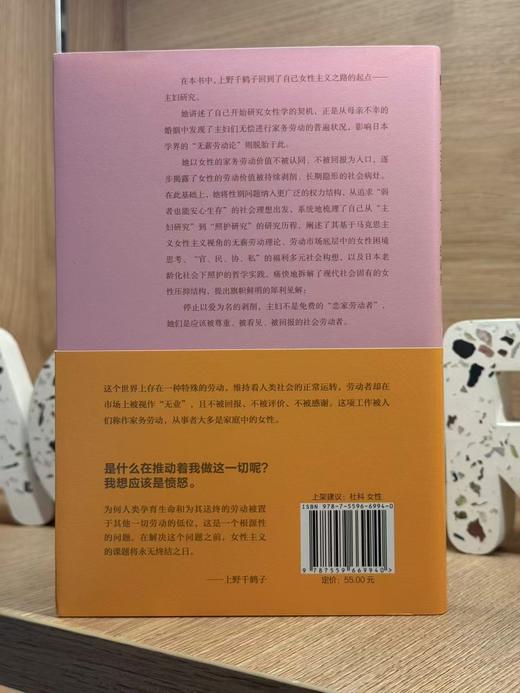 无薪主妇：以爱为名的剥削（日）上野千鹤子 著 商品图2