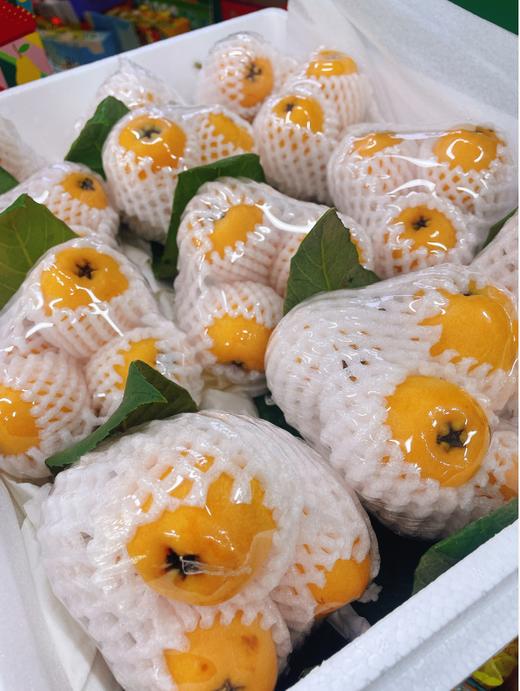 串枇杷一串 商品图1