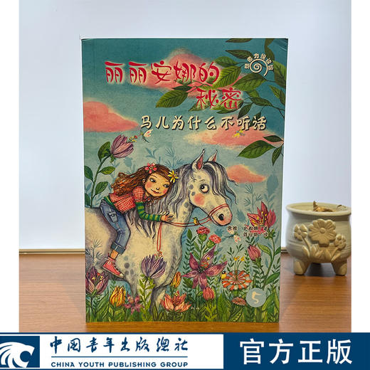 丽丽安娜的秘密系列丛书【德】唐雅·史都娜 著 ，龚迎新 译 中国青年出版社 商品图2