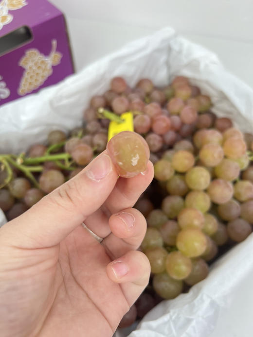 智利荔枝香葡萄 ，风味浓郁、纯甜 商品图6