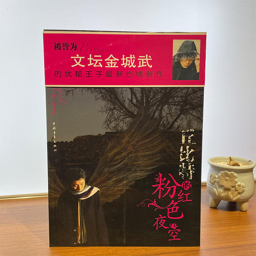 [微瑕]丘比特的粉红色夜空 刘轶男 著 中国青年出版社 商品图1