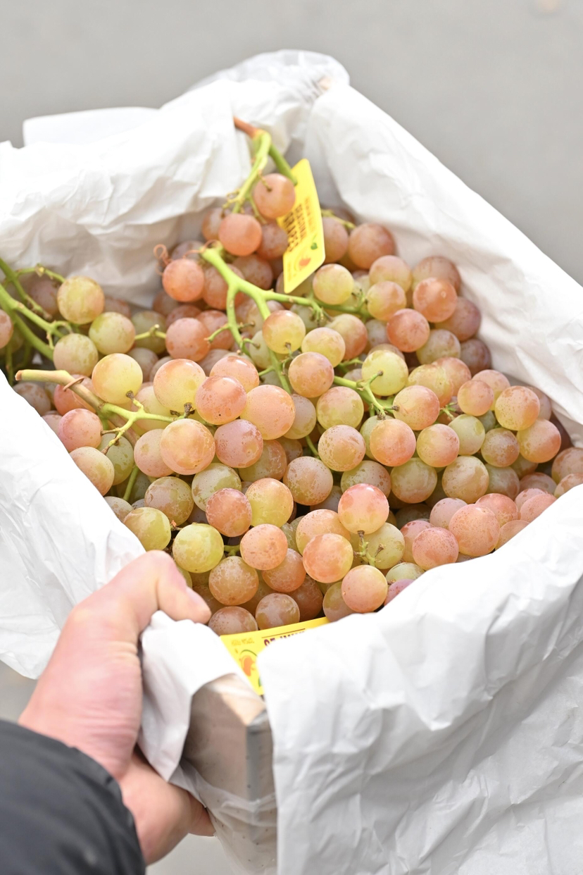 智利荔枝香葡萄 ，风味浓郁、纯甜