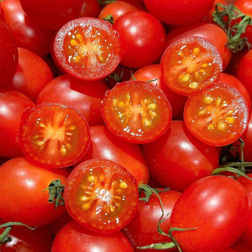 千禧圣女果（小礼盒）1.2kg/件 商品图1