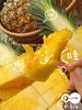 芒果凤梨 树上熟 滴汁成蜜 一口坠入美味梦乡 商品缩略图5