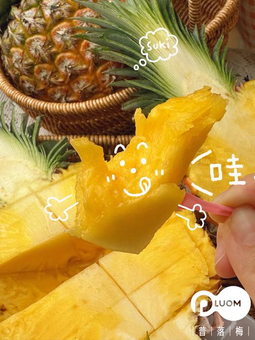 芒果凤梨 树上熟 滴汁成蜜 一口坠入美味梦乡 商品图5