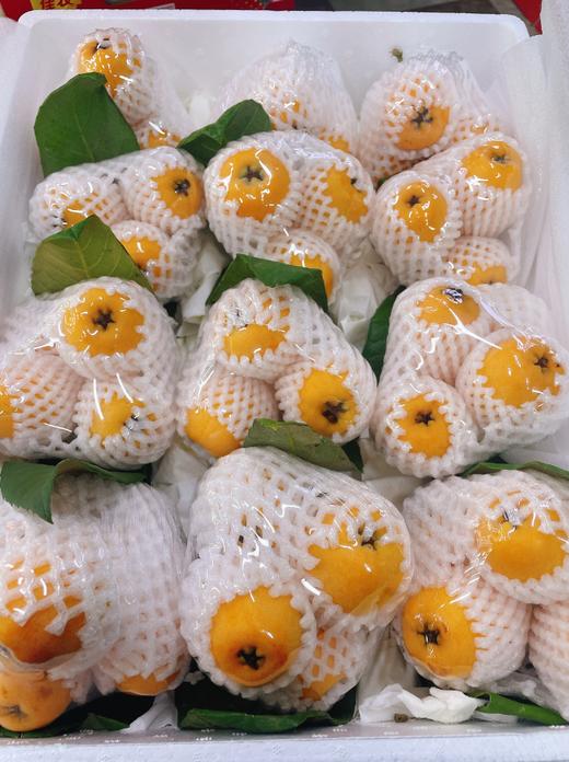 串枇杷一串 商品图0