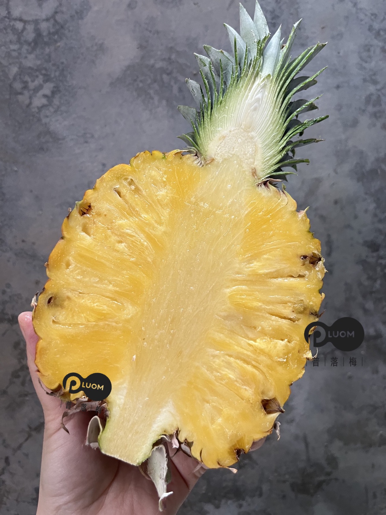 芒果凤梨 树上熟 滴汁成蜜 一口坠入美味梦乡