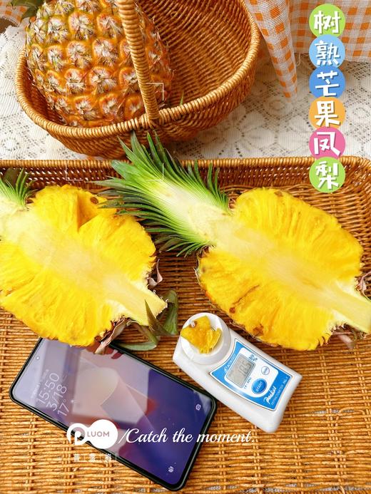 芒果凤梨 树上熟 滴汁成蜜 一口坠入美味梦乡 商品图6
