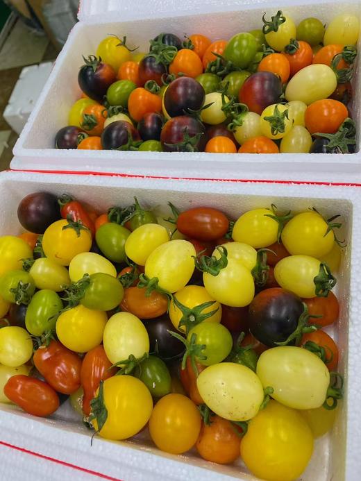 缤纷小柿子一箱 商品图2