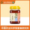 买2送挤瓶蜂蜜 华兴牌| 枣花蜂蜜 1kg 农科院蜜蜂研究所出品 商品缩略图0