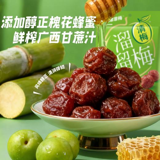 溜溜梅 清梅 100g*2 风味醇正 清润弹韧 48小时发货 商品图1
