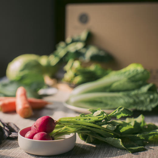 有机蔬菜特惠组合（6个品种） 全国配送（偏远地区除外） 商品图0