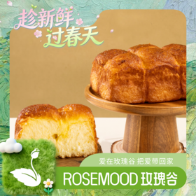 酸奶菠萝蜜（A）