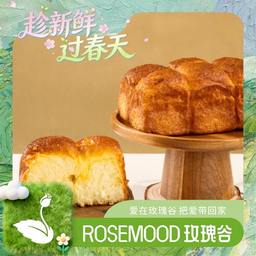 酸奶菠萝蜜（A） 商品图0