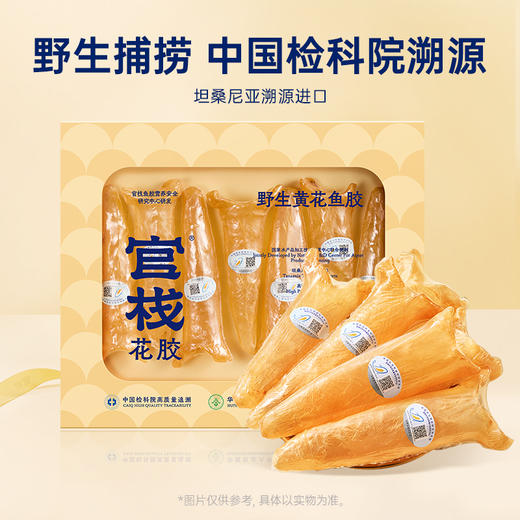 【限时特惠】官栈 5S深海溯源黄花鱼胶干花胶100g 商品图1
