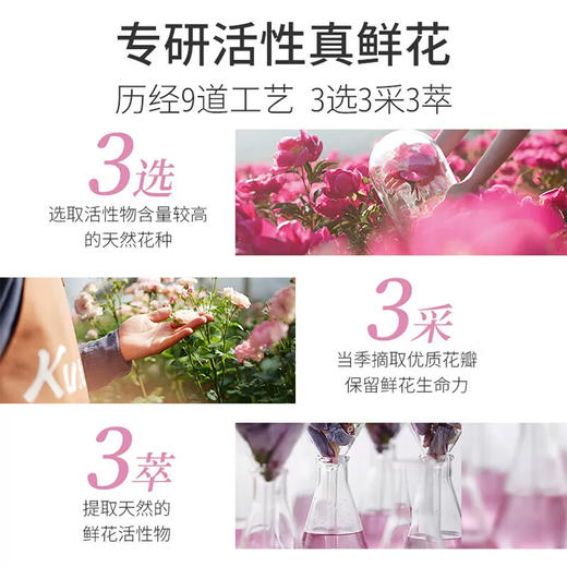 蔻斯汀双仓洗发水（山茶花） 商品图2
