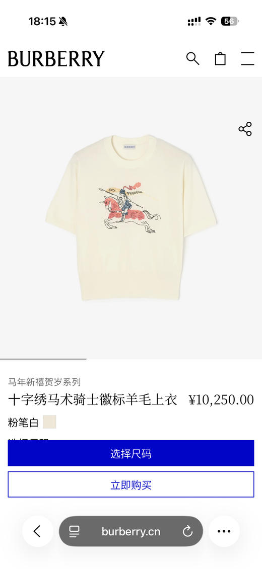 BUR十字绣骑士徽标短袖羊毛罩衫，100% 80支精纺羊毛 商品图2