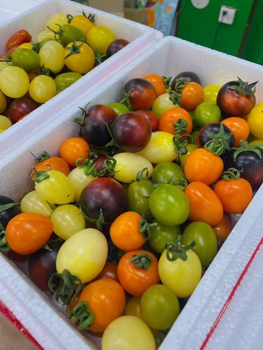 缤纷小柿子一箱 商品图1