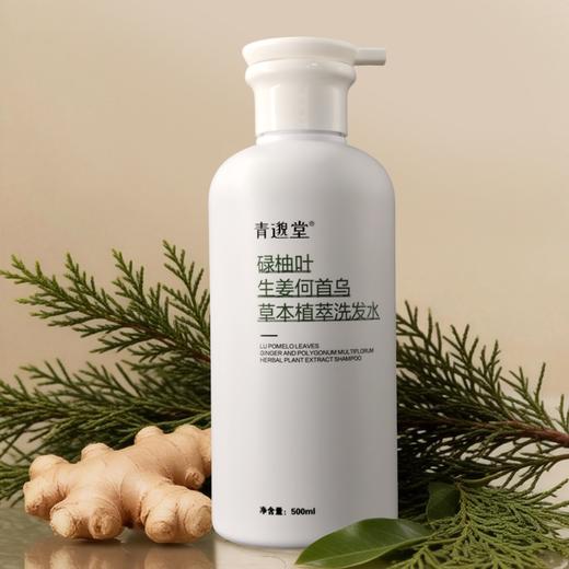 碌柚叶生姜何首乌草本植萃洗发水  轻盈秀发油头挚爱 柚子叶洗发露500ml/瓶 商品图4