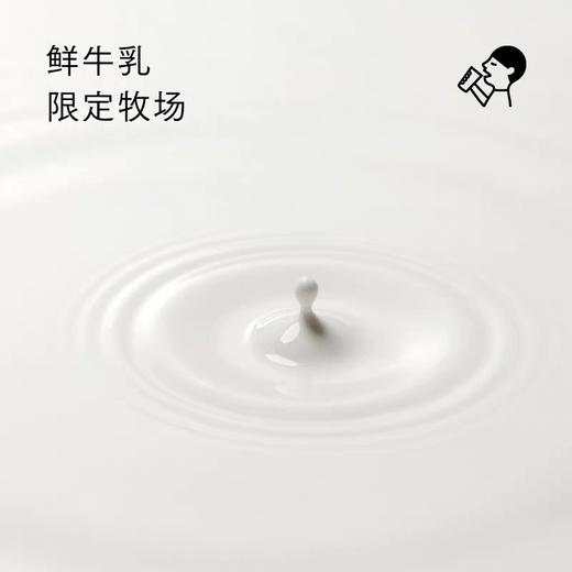 喜茶小奶茉牛乳茶350ml 商品图1