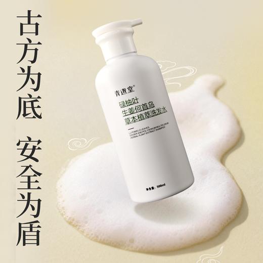 碌柚叶生姜何首乌草本植萃洗发水  轻盈秀发油头挚爱 柚子叶洗发露500ml/瓶 商品图1