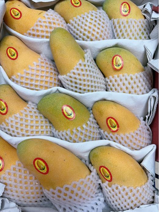 水仙芒 商品图0