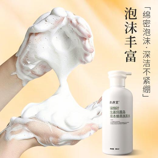 碌柚叶生姜何首乌草本植萃洗发水  轻盈秀发油头挚爱 柚子叶洗发露500ml/瓶 商品图2