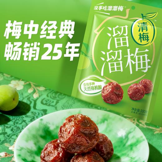 溜溜梅 清梅 100g*2 风味醇正 清润弹韧 48小时发货 商品图0
