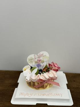 少女心满满巴斯克