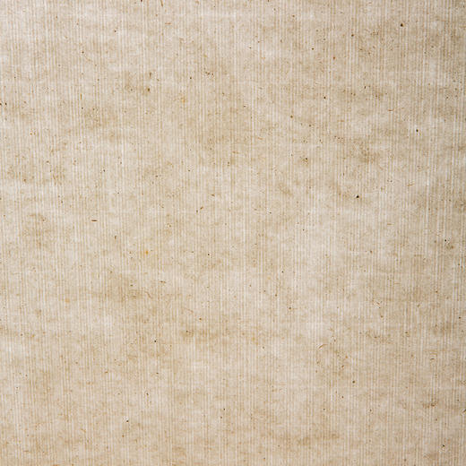 80年代天津杨柳青画店制木版水印大画笺（原装一筒15张） 商品图10