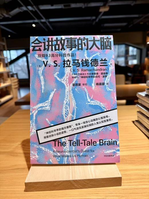 会讲故事的大脑［美］V.S.拉马钱德兰 商品图0
