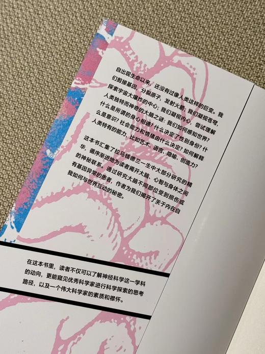 会讲故事的大脑［美］V.S.拉马钱德兰 商品图2