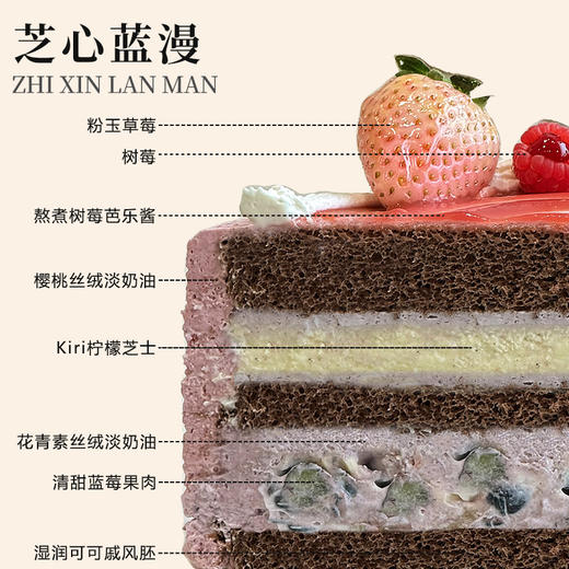 芝心蓝漫 商品图2