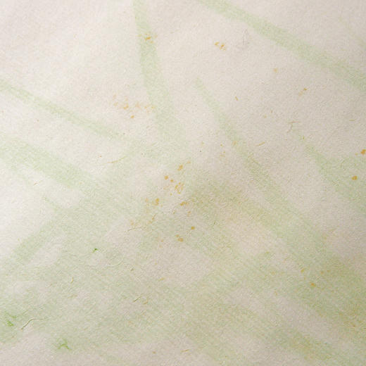 80年代天津杨柳青画店制木版水印大画笺（原装一筒15张） 商品图8