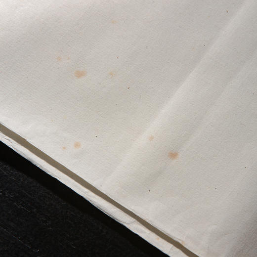 清末民国上海九华堂宝记制“玉版宣”（一张） 商品图6