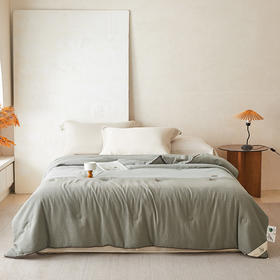 【新品】可水洗纯棉四季被